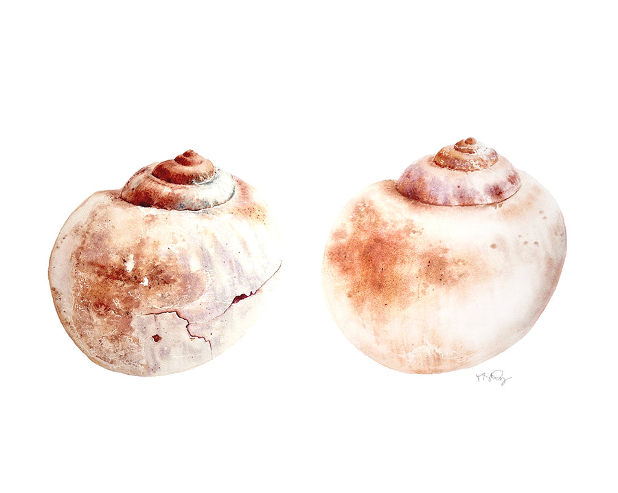Beautifully painted pair of moon snail shells  by artist Michelle SaintOnge as a tribute to breast cancer survivors.