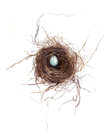 Small intricate bird nest Amazing watercolour of a bird nest by artist Michelle SaintOnge. It has a single robin's egg in it.