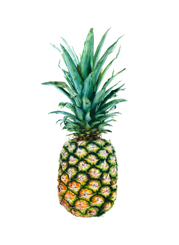 Watercolour painting of a pineapple. 