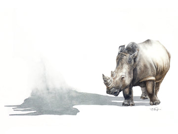 A black rhino with his disappearing shadow painted in watercolour by Michelle SaintOnge.
