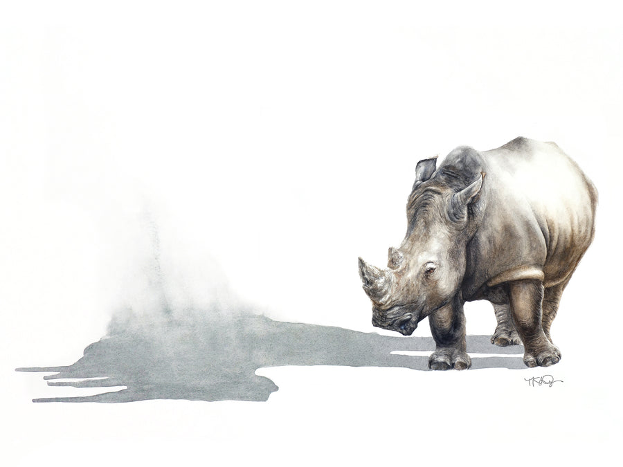 A black rhino with his disappearing shadow painted in watercolour by Michelle SaintOnge.