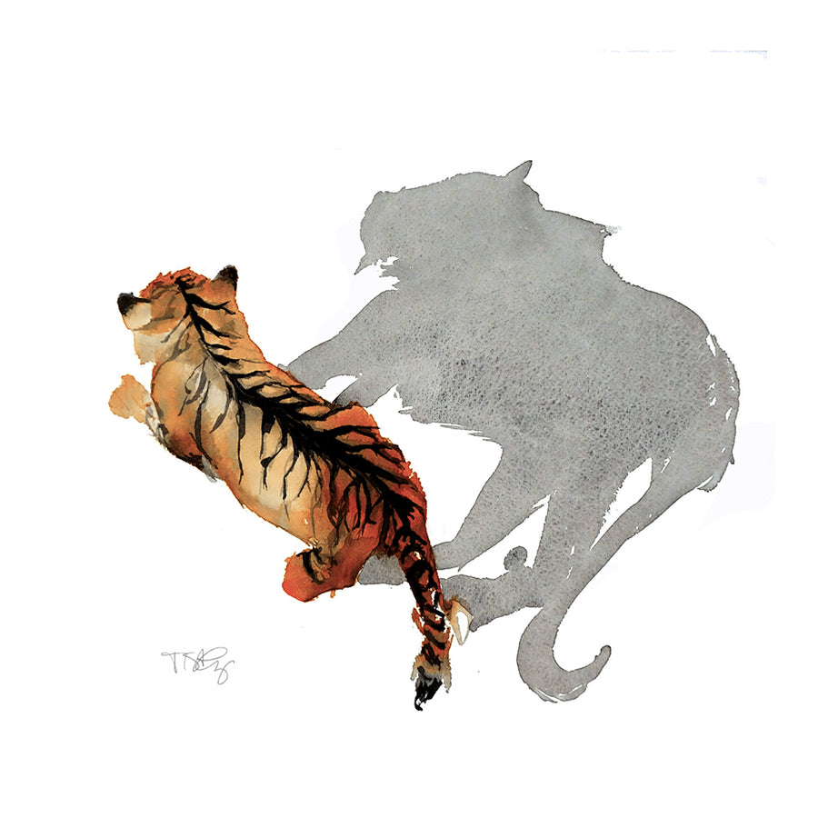 Top view of a Siberian tiger and it's shadow painted in watercolour by artist Michelle SaintOnge.