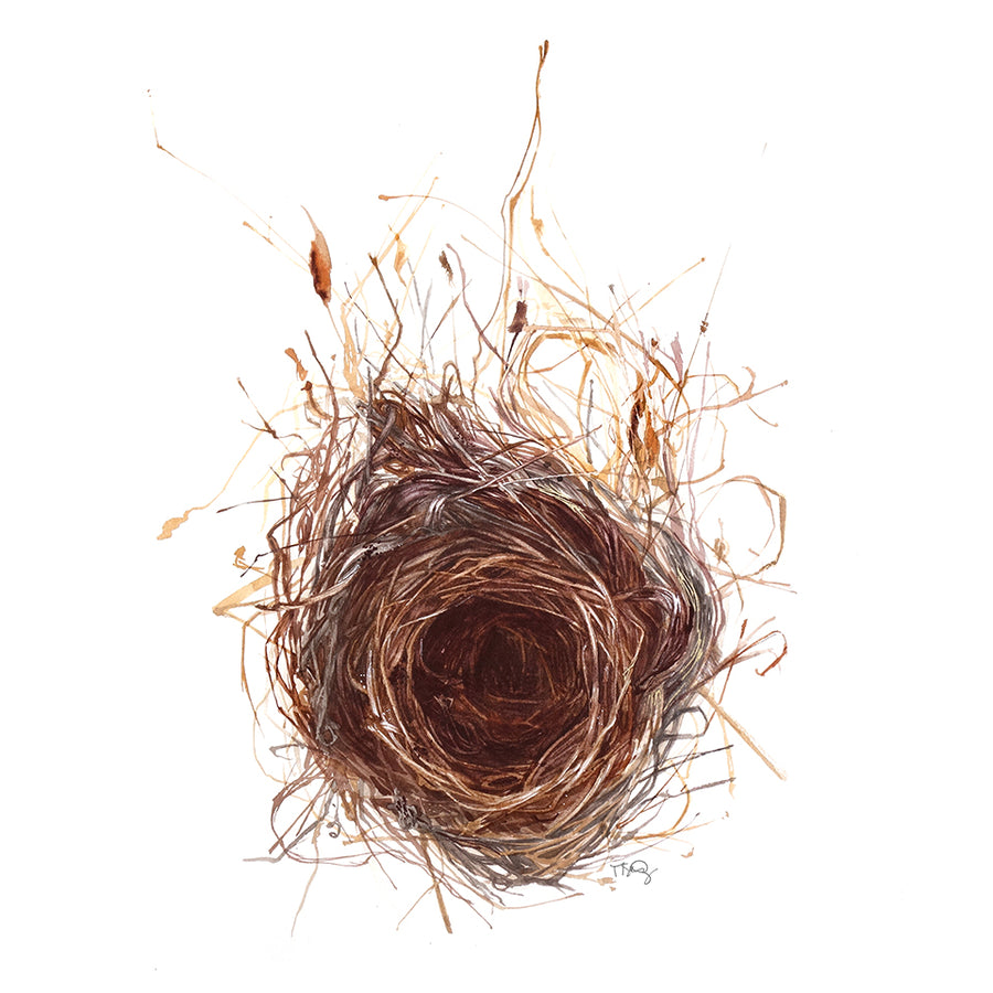 Amazing watercolour of a bird nest by artist Michelle SaintOnge.