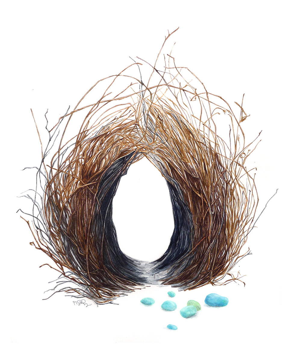 Bird Nests – michellesaintonge.com Bird Nests – michellesaintonge.com