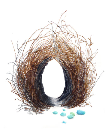 Amazing watercolour of a bird nest by artist Michelle SaintOnge. This is a bowerbird nest. The bowerbird is renowned for it's unique courtship behaviour, where males build a structure and decorate it with sticks and brightly coloured objects in an attempt to attract a mate.