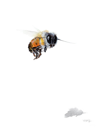 Watercolor painting of a lone bee flying along with it's shadow by artist Michelle SaintOnge.