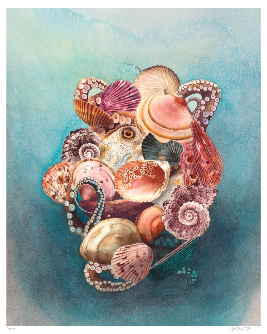 Limited Edition Print on Fine Art paper. Print titled Under Cover is of an octopus covered in brightly coloured shells on turquoise blue background.